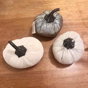 Set of Decorative Pumpkins in Silver and White